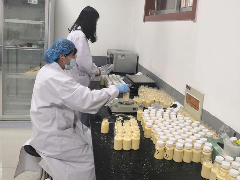 关注粮食安全：地方储备粮动态探析