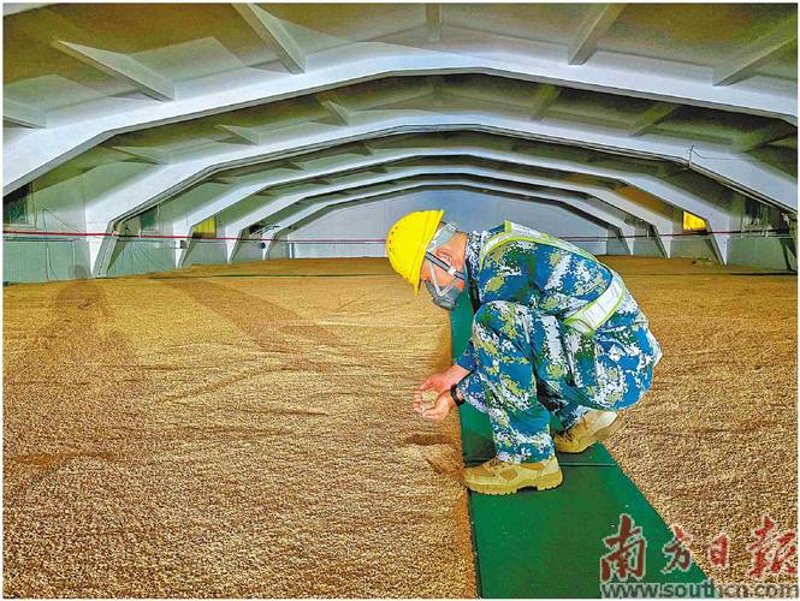 泰兴粮食储备库：守护舌尖上的安全