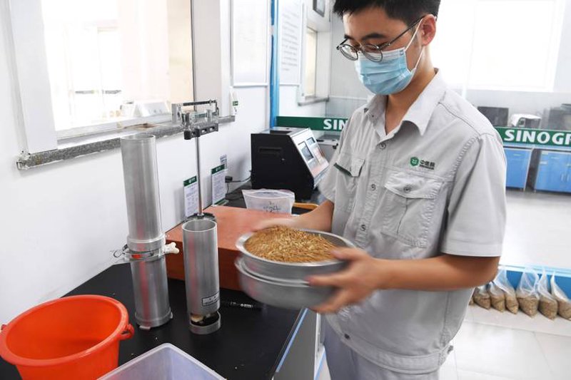 粮食质检